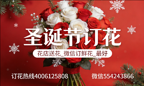 �����ݻ���